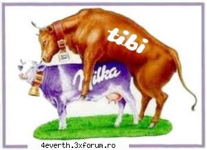 La poze funny s`a gandit cineva? - Deci aici punem..bine itzeles poze, si anume - Funny