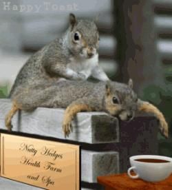 La poze funny s`a gandit cineva? - Chocholate12 - Funny