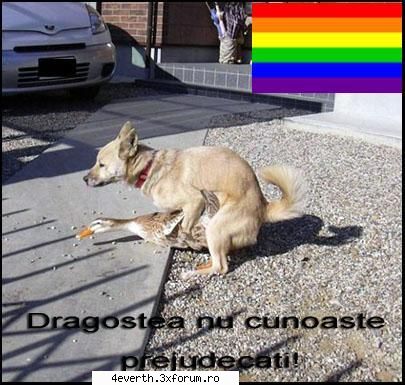 La poze funny s`a gandit cineva? - Chocholate12 - Funny