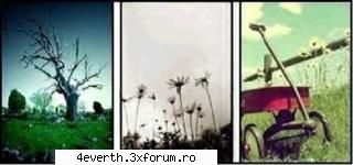 Nota pentru poza - Green. - Games
