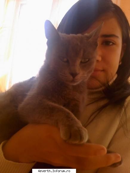 Poozee cu ...mnn - Si akum animalutele mele MoTatigrul meu Tomita - Pics whit us