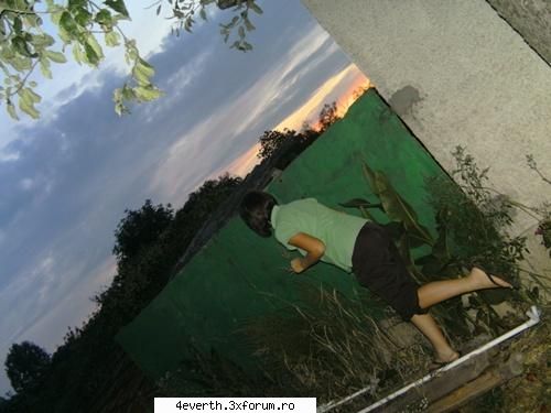 Stupid.Coke. - Nu stiu.Nu vreau.Nu pot - Pics whit us